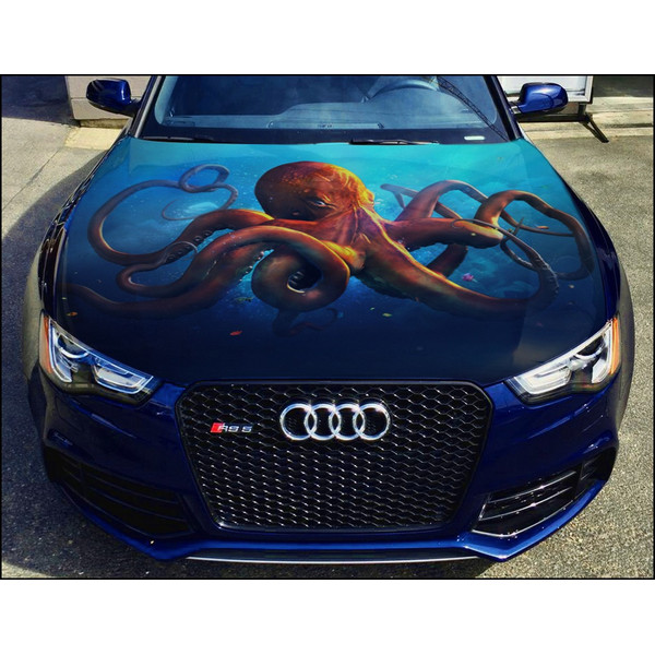 Octopus 1_nw.jpg