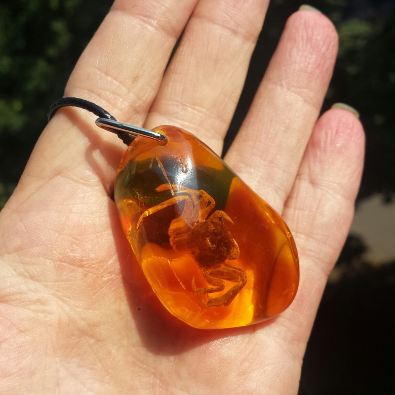 Real Crab in Amber Resin Cancer Pendant Necklace Ocean Animal Summer Jewelry Keychain Gift for Adults Kids.jpg
