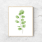 Green leaf poster watercolor (1).png