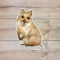 watercolor quokka sticker, waterproof vinyl decal, great gift for animal lovers