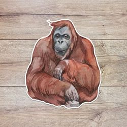watercolor orangutan sticker, waterproof vinyl decal, great gift for animal lovers