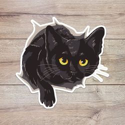 naughty cat sticker, waterproof vinyl decal, great gift for animal lovers