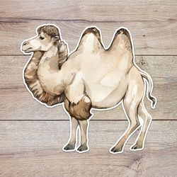 bactrian camel sticker, waterproof vinyl decal, great gift for animal lovers