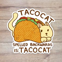 taco cat sticker, waterproof vinyl decal, great gift for animal lovers