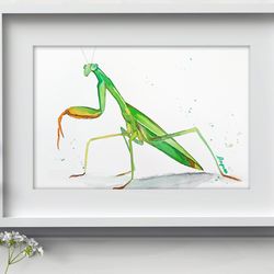 Mantis watercolor insect painting original art watercolor bugs by Anne Gorywine