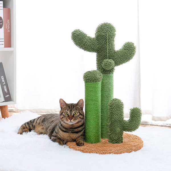 cat-is-lying-on-the-cactus-cat-scracher-1