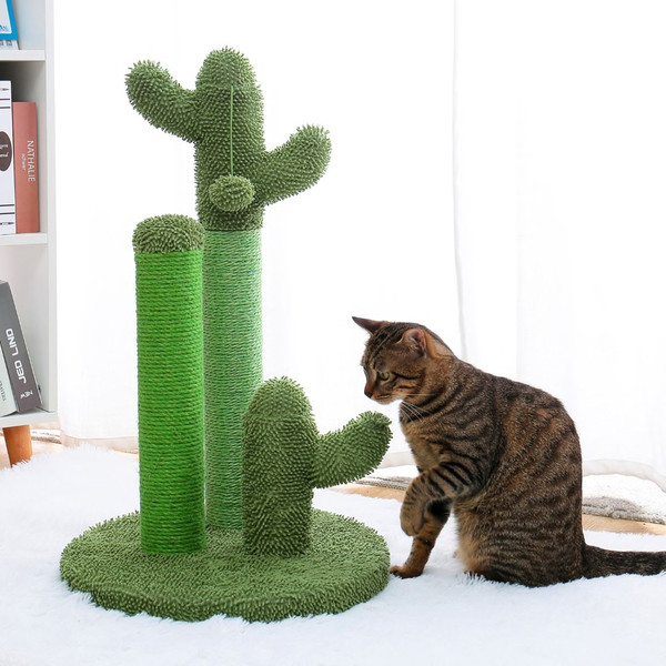 cat-is-sitting-on-the-cactus-cat-scracher-1