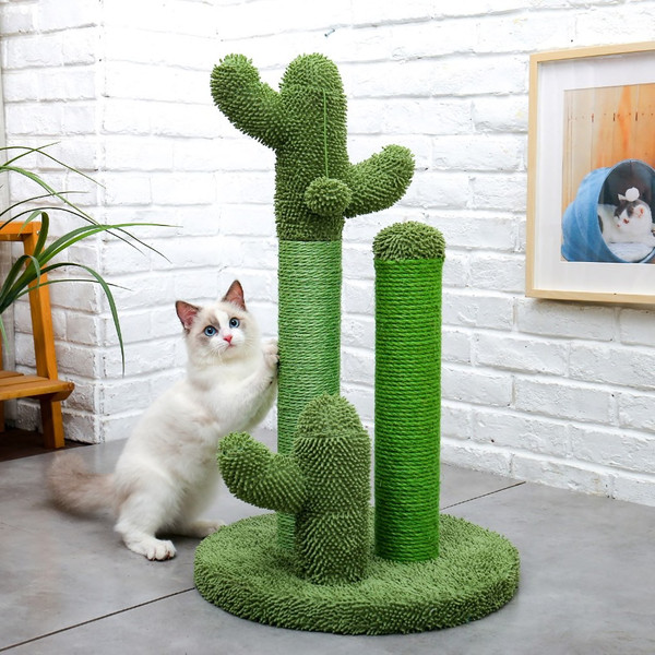 kitten-is-scratching-green-cactus-cat-scracher