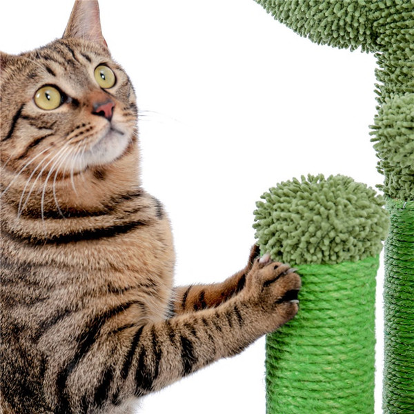 cat-is-scratching-the-cactus-scratcher