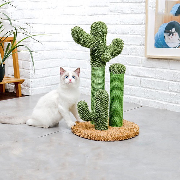 kitten-is-sitting-on-the-cactus-cat-scracher-1