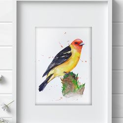 Western Tanager 8x11 inch original watercolor bird painting art by Anne Gorywine