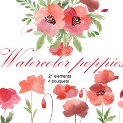 Watercolor poppy clipart, red flowers, png.