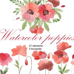 watercolor poppy clipart, red flowers, png.