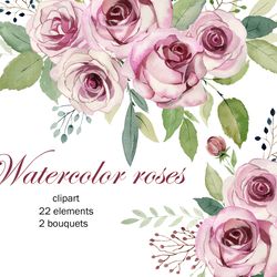 Watercolor roses clipart, pink rose png.