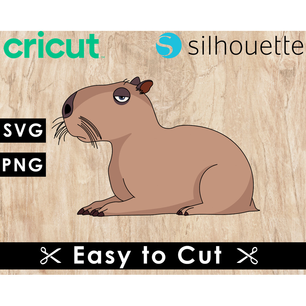 single mockup 2-Recovered-Recovered-Recovered.jpg