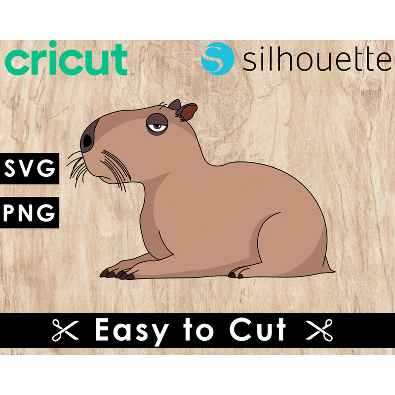 single mockup 2-Recovered-Recovered-Recovered.jpg