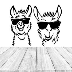 Funny Lamas With Glasses Sticker, Wall Sticker Vinyl Decal Mural Art Decor