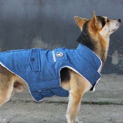 corduroy dog jackets