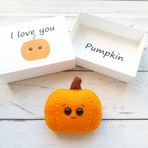Love-you-pumpkin-pocket-hug