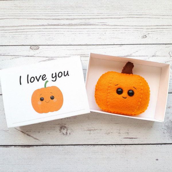 Little-pumpkin-pocket-hug-in-a-box
