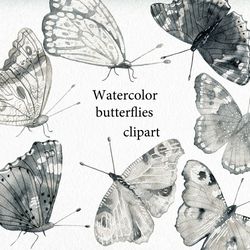 Watercolor Butterflies clipart.