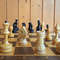 small_pieces_medium_board_chess3.jpg