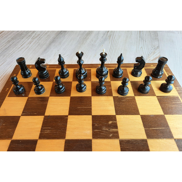 small_pieces_medium_board_chess5.jpg