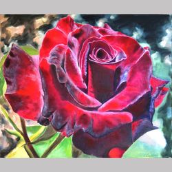 original handmade oil painting rose burgundy floral art wall art painting living room interior for flower enthusiasts