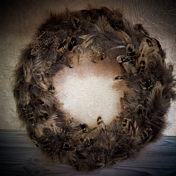 a wreath of bird feathers