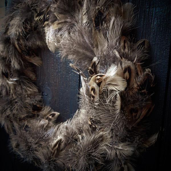 a wreath of bird feathers1