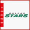 Dallas-Stars-logo-png (3).jpg