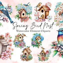 spring bird nest watercolor clipart hello spring sublimation graphic design