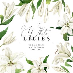 White Lilies Watercolor Clipart. Wedding Invitation ClipArt. Lush Lily. Transparent PNG. Digital Download. NatArtStudio.