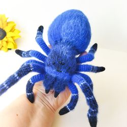 Bird eating tarantula black blue toy crocheted amigurumi. Spider Real Size. Decor Tarantula. Stuffed taxidermy tarantula