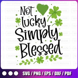 not lucky just blessed svg, saint shenanigan clover svg, kids st patricks day shirt, christian romans svg cut files
