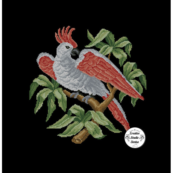 Vintage Cross Stitch Scheme Parrot and Roses  3.jpg