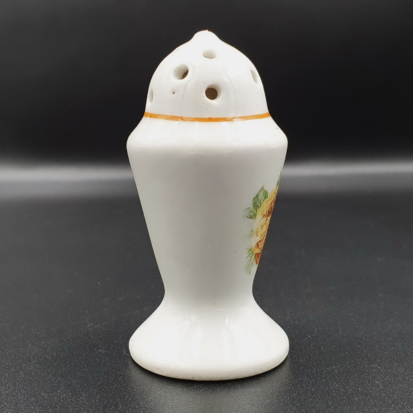 6 Antique Kuznetsov Porcelain salt pepper shaker ROSES Russian Empire.jpg