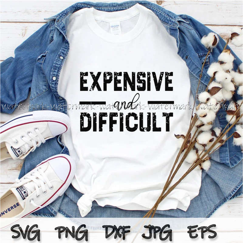 1773 Expensive And Difficult png for shirt.png