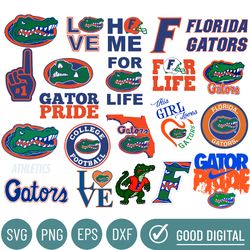 florida gator pride svg, foodball bundle svg, sport bundle svg, college foodball svg,