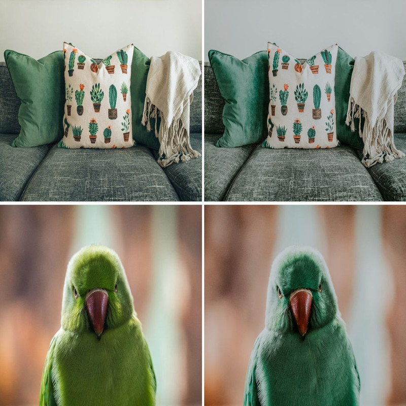 1080x1080 size 100.Moody_Green_07-1536x1024.jpg