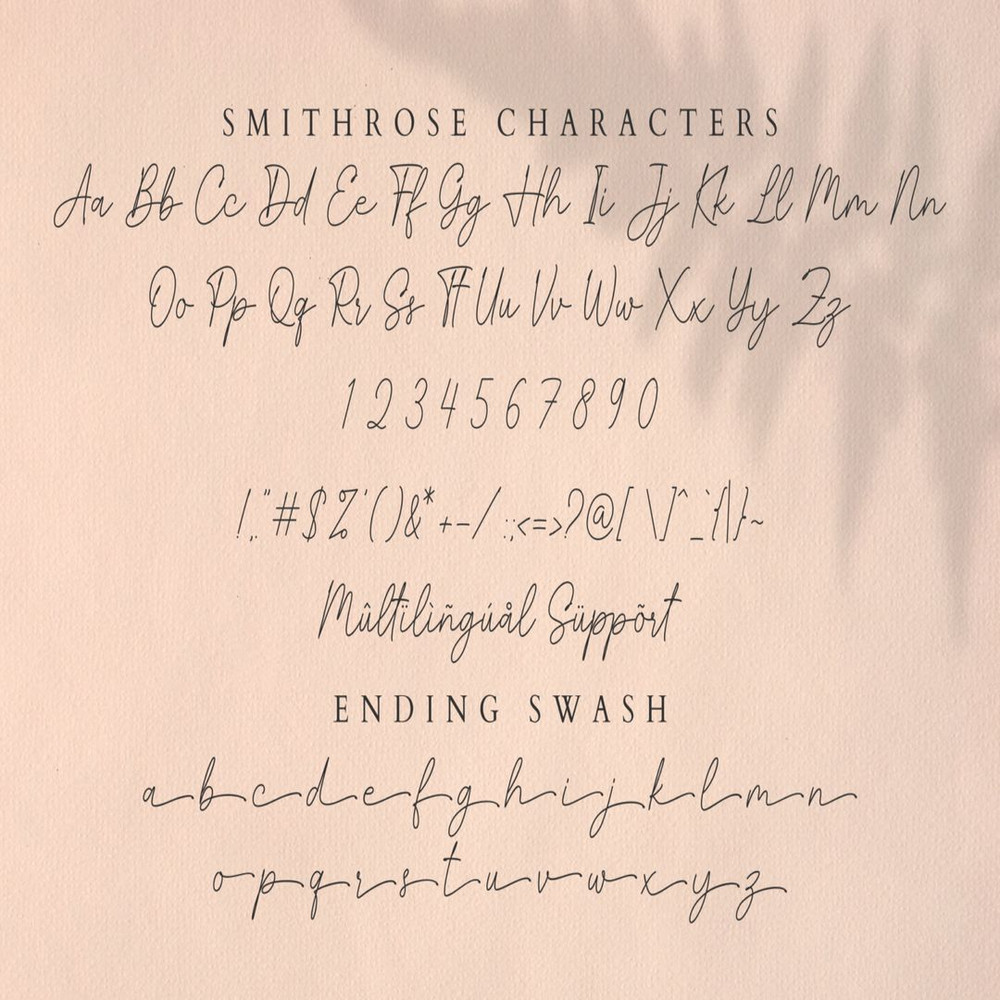 1080x1080 size Smithrose-preview15-1536x1024.jpg