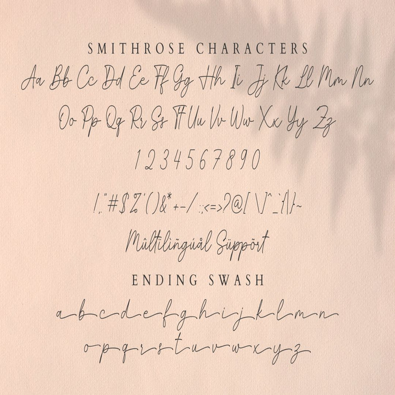 1080x1080 size Smithrose-preview15-1536x1024.jpg