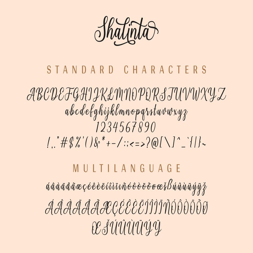 1080x1080 size Preview13-1536x1024.jpg