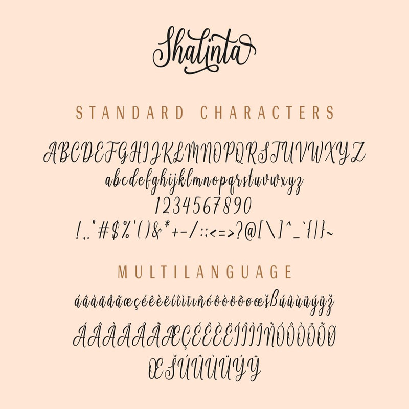 1080x1080 size Preview13-1536x1024.jpg