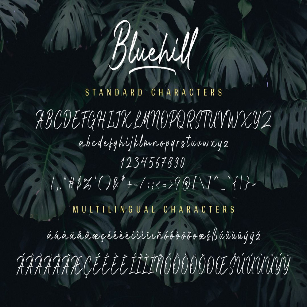 1080x1080 size prev11-2-1536x1024.jpg