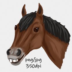Digital download / Hand drawn, funny, smiling horse portrait