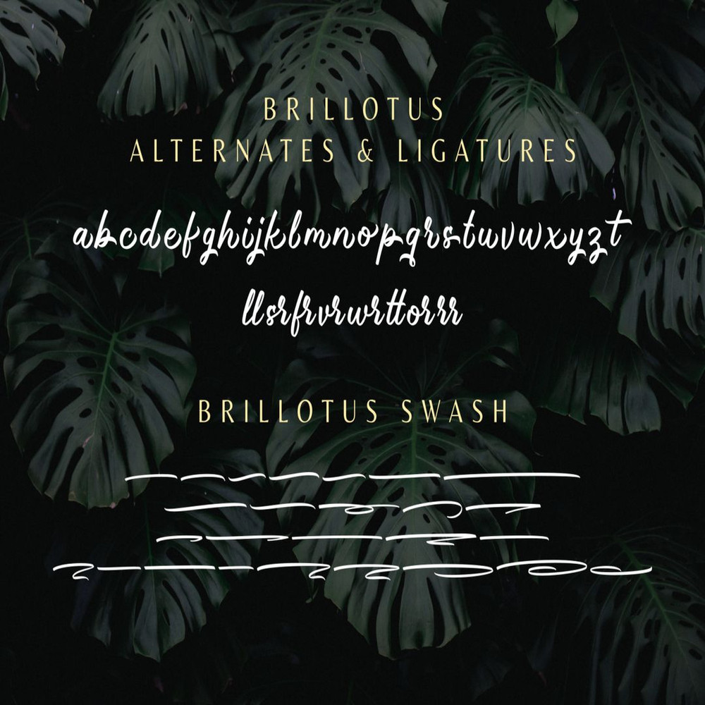 1080x1080 size prev11-1536x1023.jpg