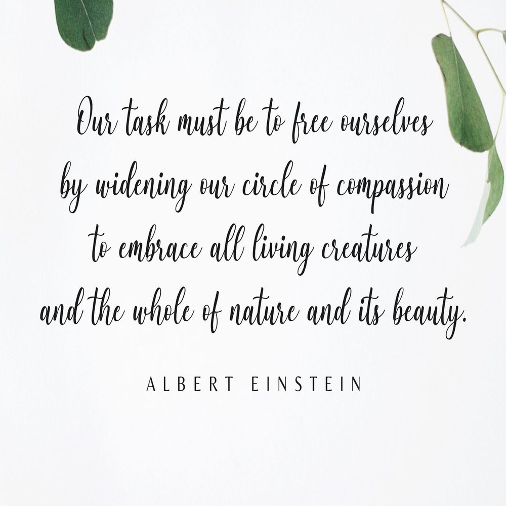 1080x1080 size prev41.jpg