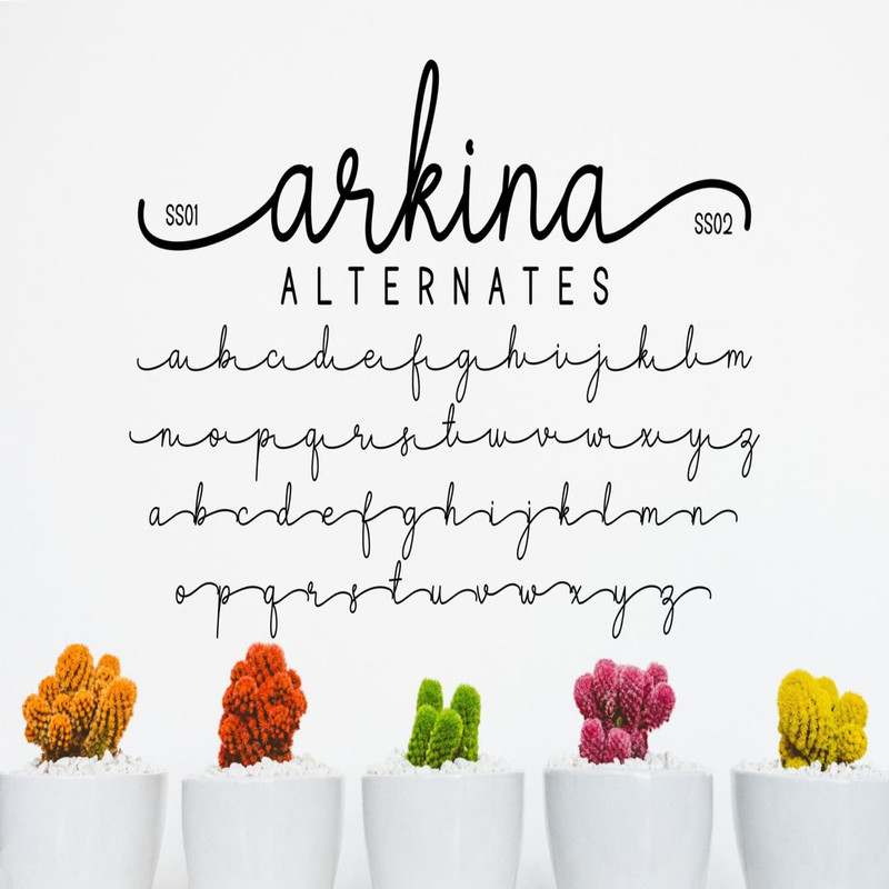 1080x1080 size Arkina-prev8-1536x1024.jpg