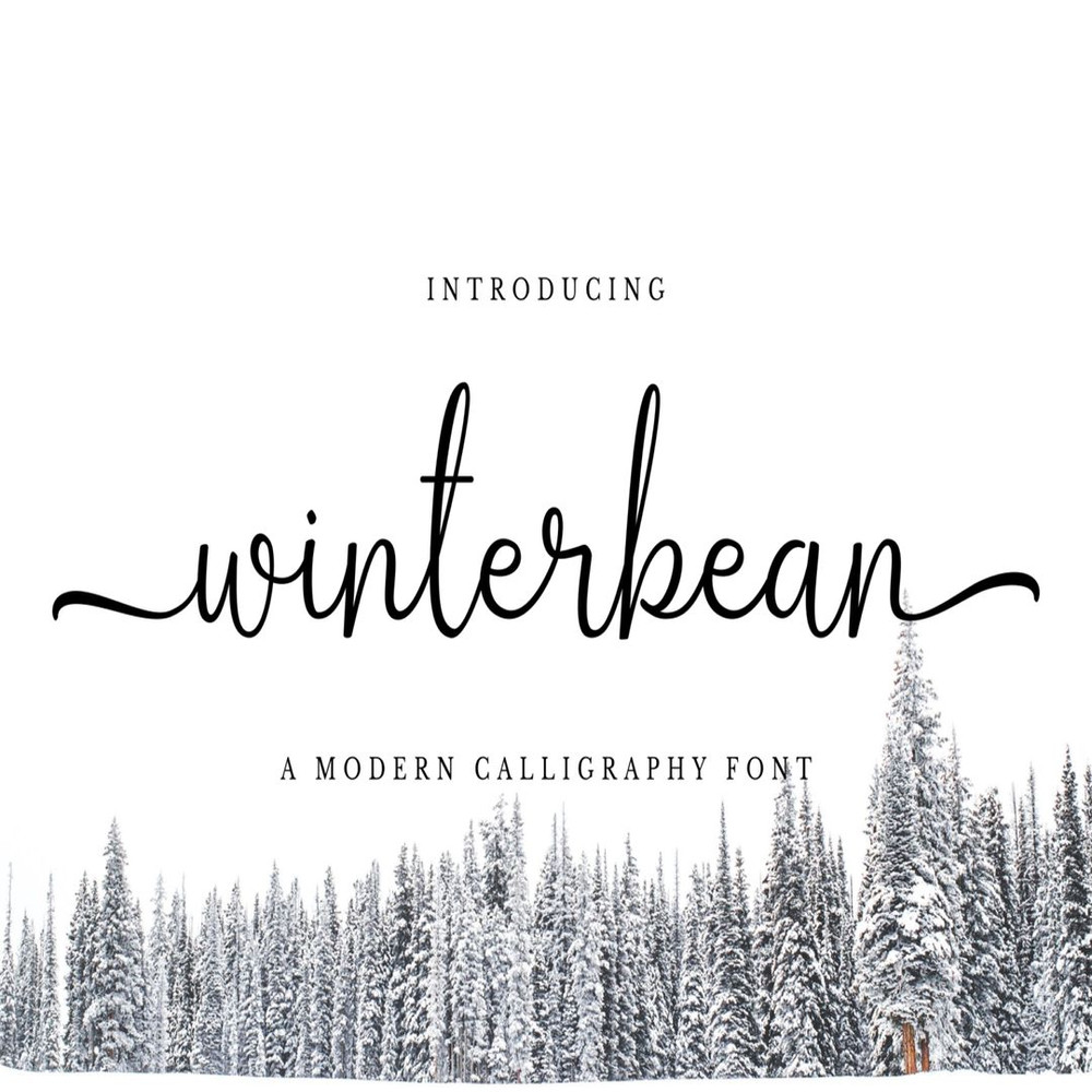 1080x1080 size Winterbean-prev1-1536x1024.jpg